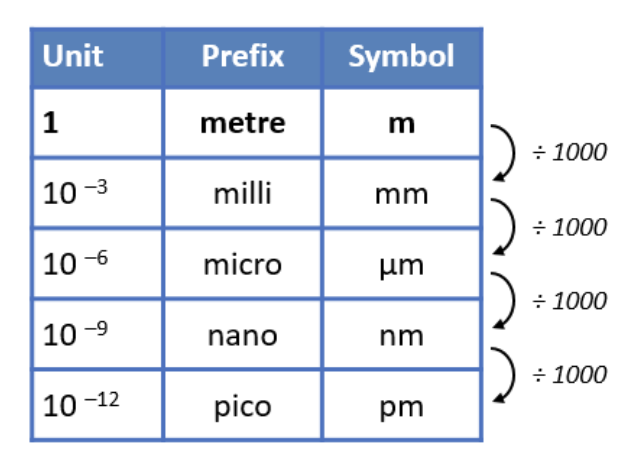 <p>Cells and their components are measured according to the metric system</p>