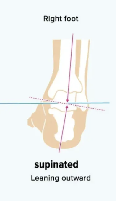 <p>leaning outwards </p>