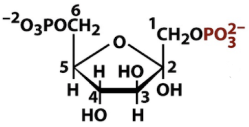 <p>Name that structure.</p>
