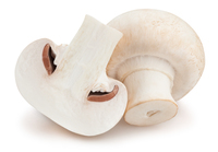 <p>a type of fungus</p>