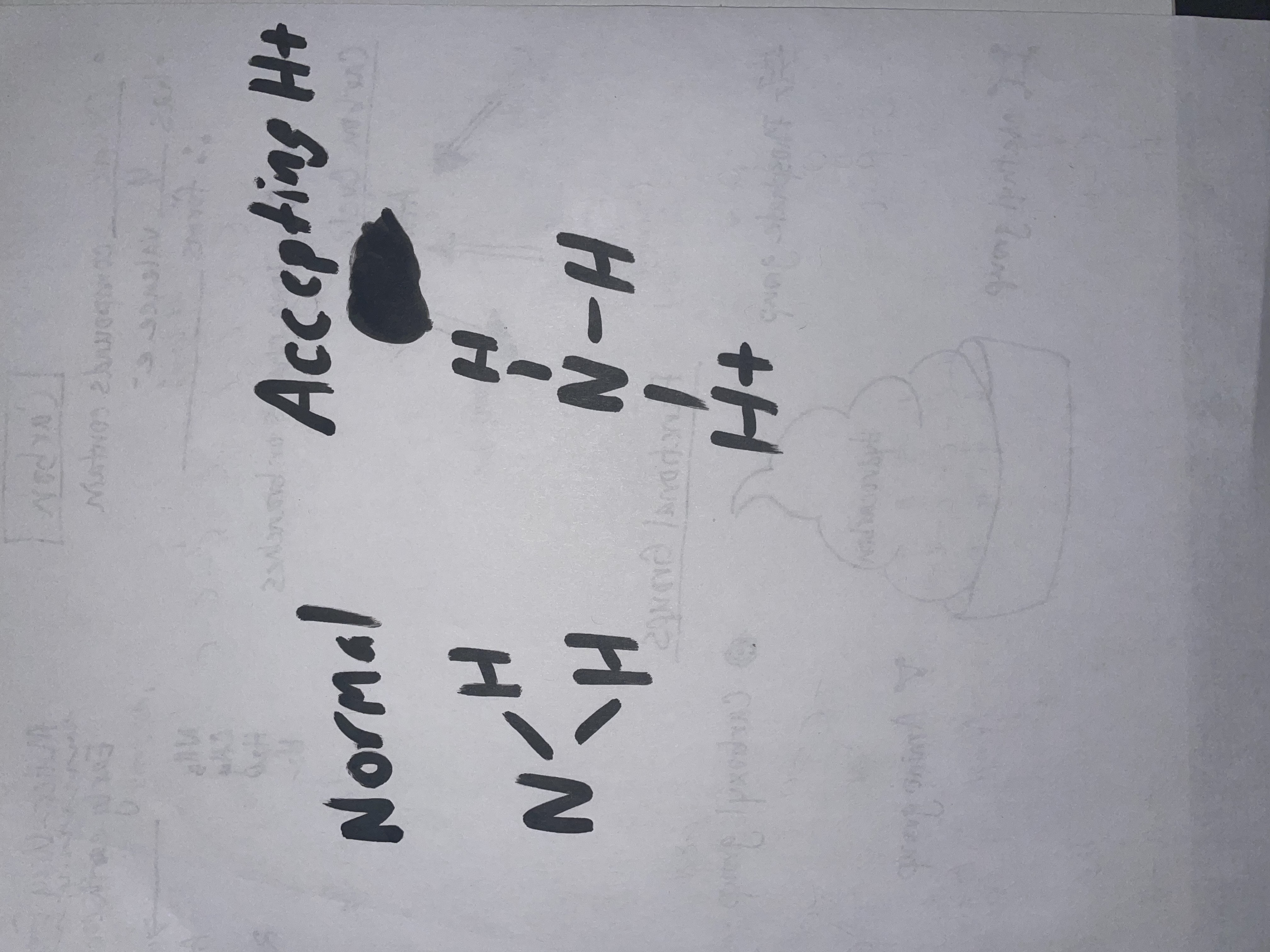 <p>NH2, but often changes because it accepts an H+ (becoming NH3-) Because of this, it acts as a base.</p>