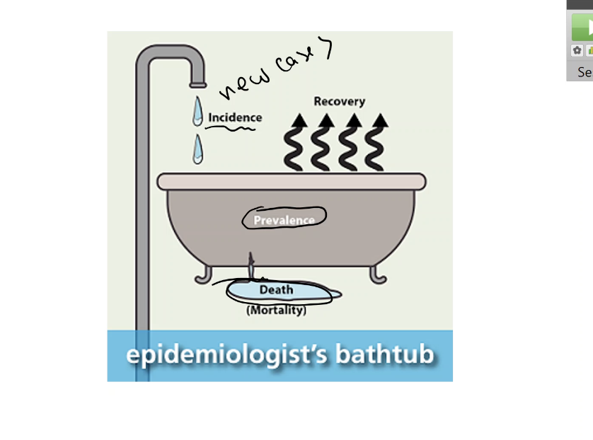 <p>Epidemiological studies</p>