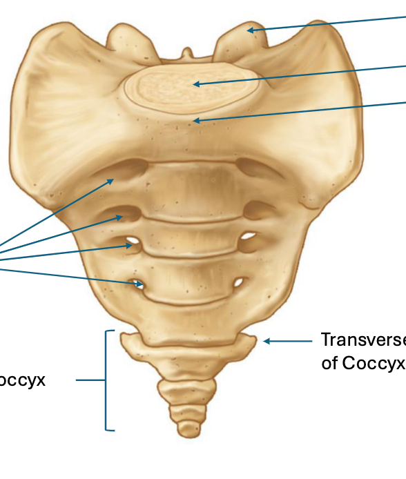 <p>what is this </p>