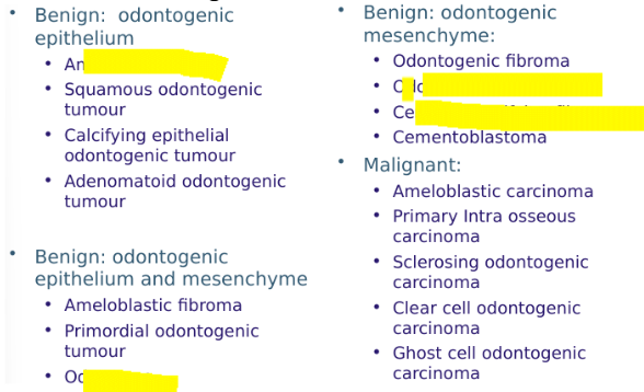 <ul><li><p><span style="background-color: transparent;"><span>Odontogenic epithelium alone&nbsp;(group 1 WHO)</span></span></p></li><li><p><span style="background-color: transparent;"><span>Odontogenic epithelium and odontogenic mesenchyme +/- dental hard tissues. (grp 2)</span></span></p></li><li><p><span style="background-color: transparent;"><span>Odontogenic mesenchyme alone. (Grp 3)</span></span></p></li></ul><p></p>