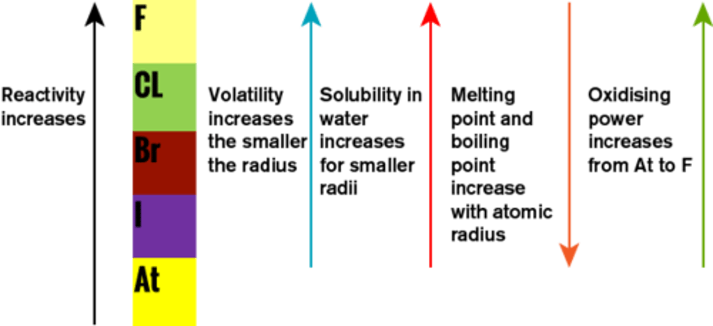 <p>Chlorine</p>