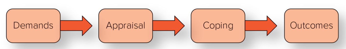 <ol><li><p>Demands</p></li><li><p>Appraisal</p></li><li><p>Coping</p></li><li><p>Outcomes</p></li></ol><p></p>