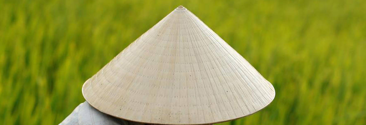 <p><strong>a hat shaped like a cone</strong> </p><p>(cái nón hình chóp, nón lá)</p><p></p>