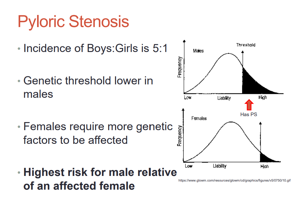 <p>male relative of an affected <strong><mark data-color="purple" style="background-color: purple; color: inherit;">female</mark></strong></p>