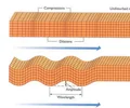 <p>mechanical waves that move through Earth&apos;s crust (P waves are longitudinal, S are transverse)</p>