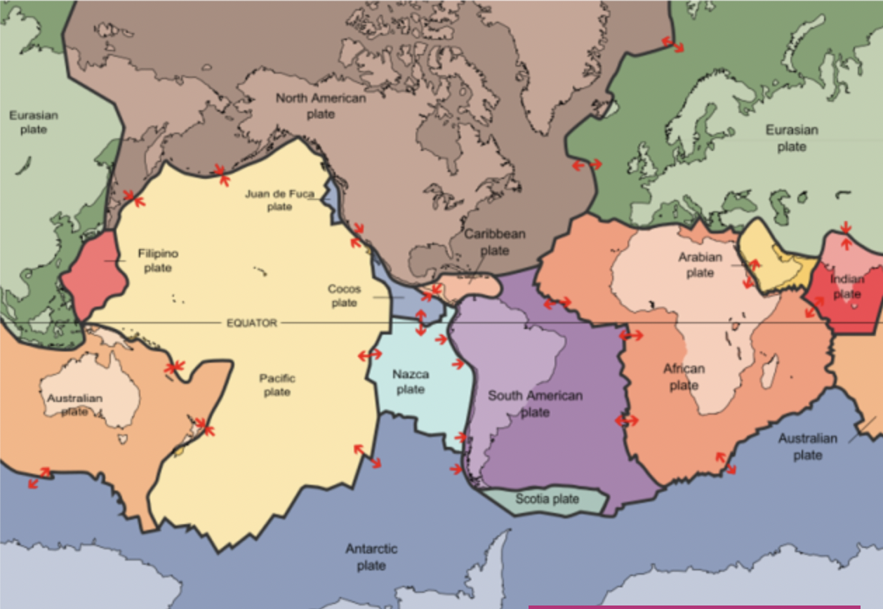 <p>seven major and eight minor</p><p><span>Each plate is in motion relative to its neighbours, resulting in geological activity at the plate boundaries. It is also possible, though less common, for geological activity to take place in the middle of plates.</span></p>