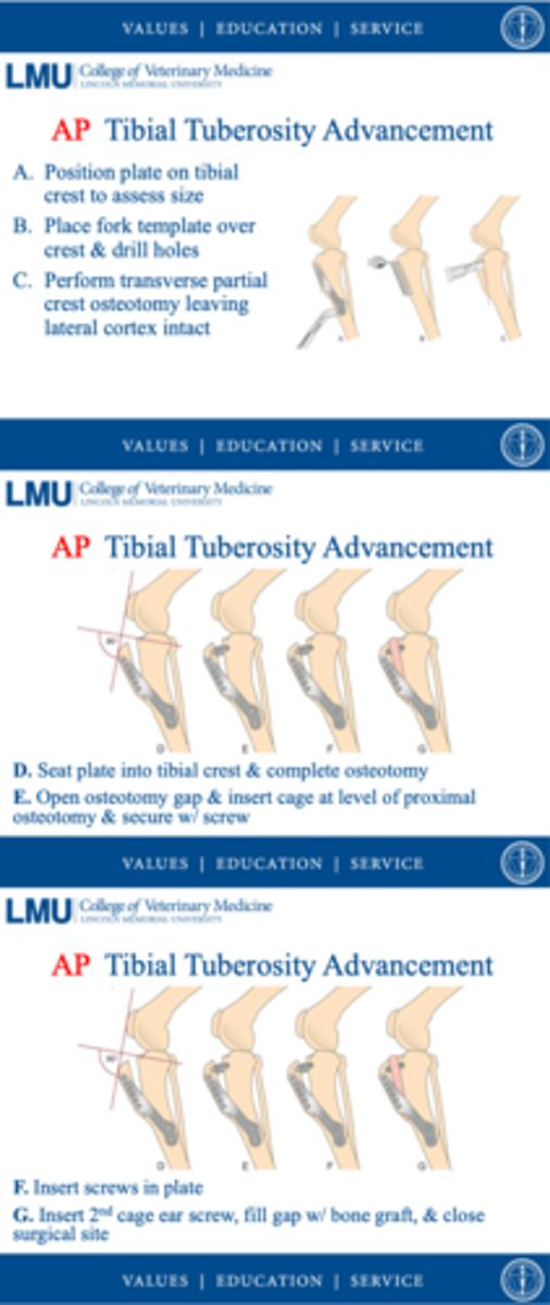 <p>review the procedure for the TTA</p>