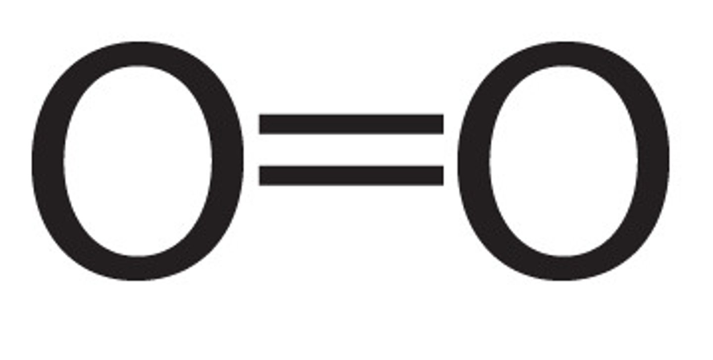 <p>A molecule that is essential for the complete oxidation of glucose in aerobic respiration</p>