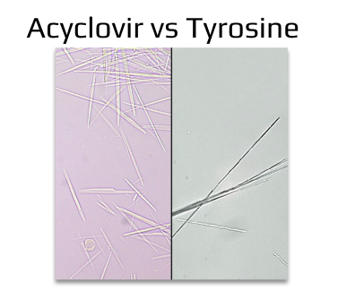 <p>Tyrosine</p>