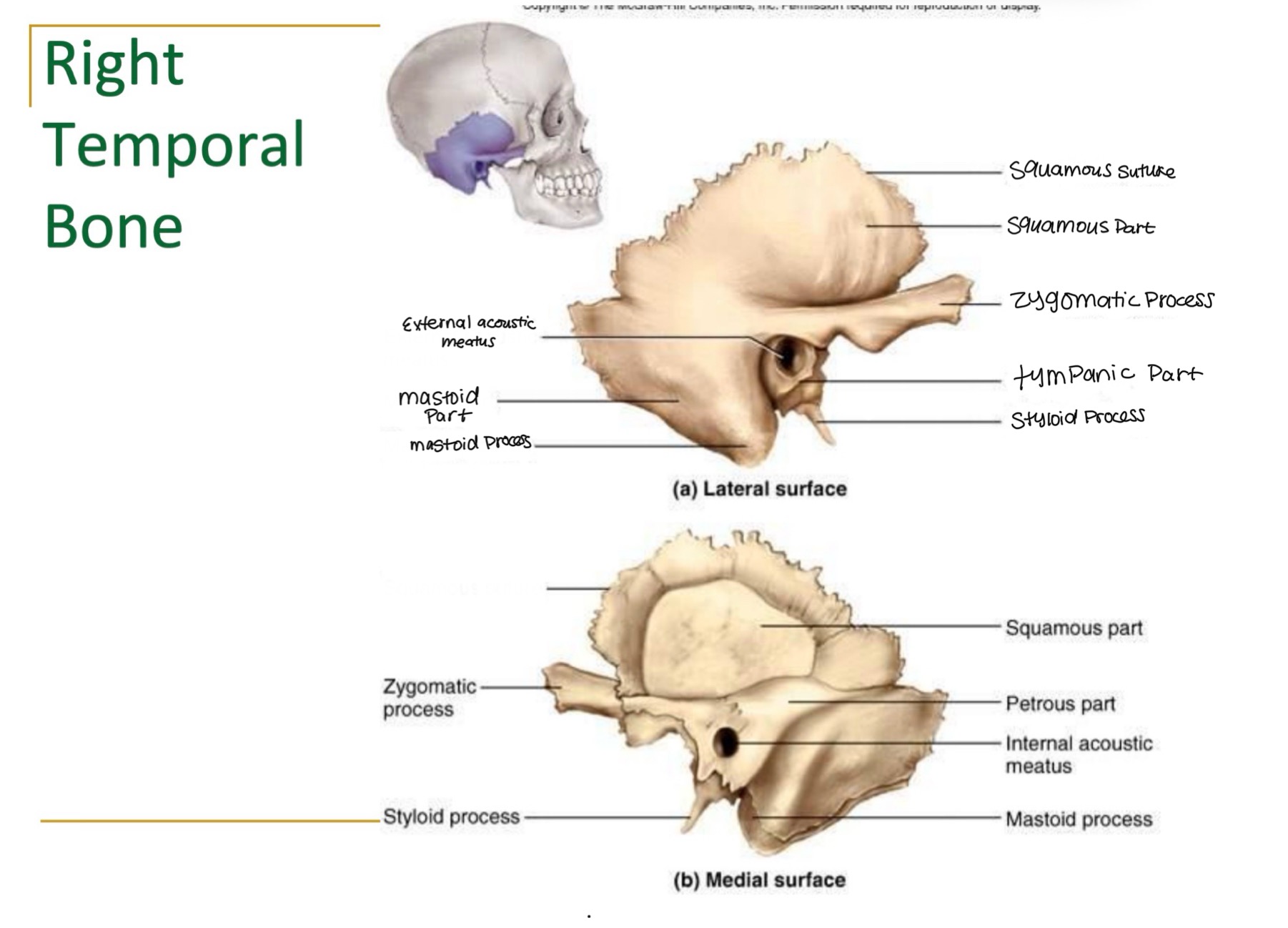 <p><br>label missing word on diagram</p>