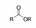 <p>R–COOR: a carbonyl with one R group and one OR group; the OR group is part of the ester, not a separate ether.</p>