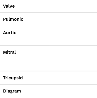 <p>Location of Equine Heart Valves</p>