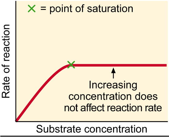<p>Substrate Concentration</p>