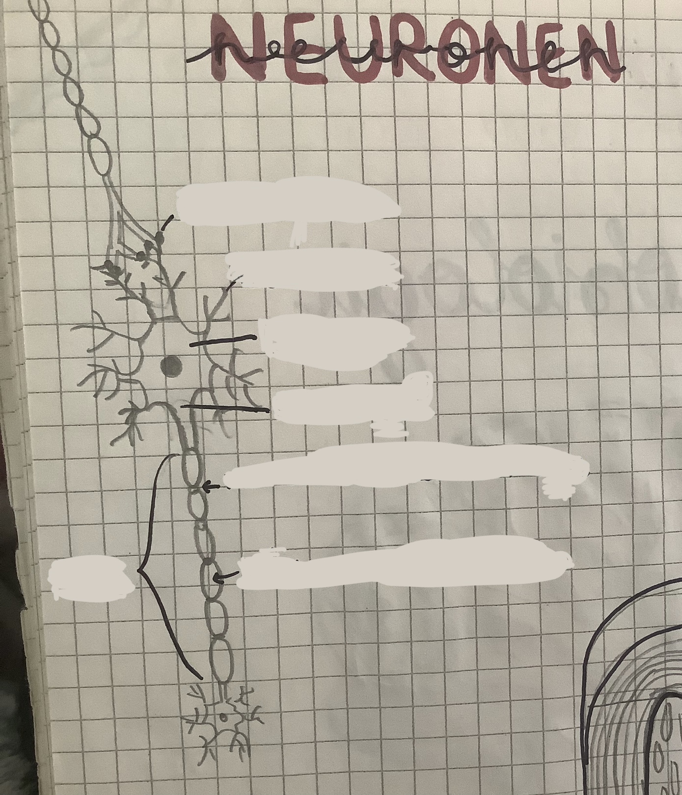 <p>Beschrifte die Abbildung.</p>