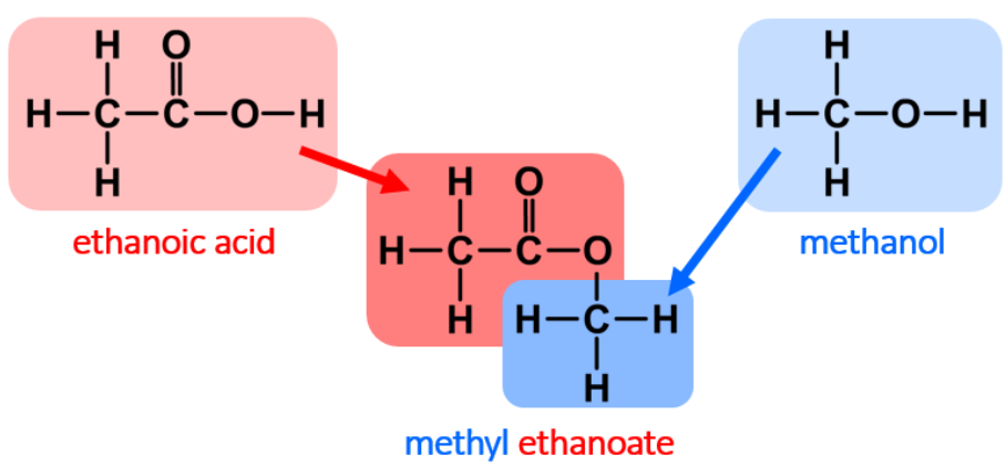 <p><span style="font-family: Verdana">esterification reaction between alcohol and carboxylic acid, forms water molecule product</span></p>