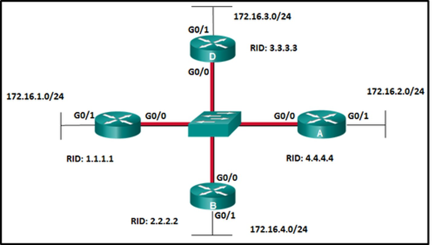 <p>Refer to the exhibit. Suppose that routers B, C, and D have a default priority, and router A has a priority 0. Which conclusion can be drawn from the DR/BDR election process? </p>