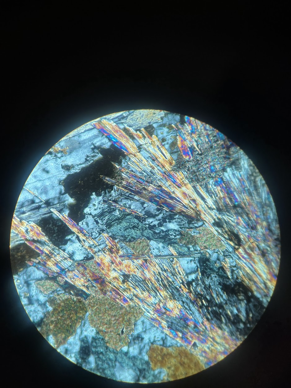 term image