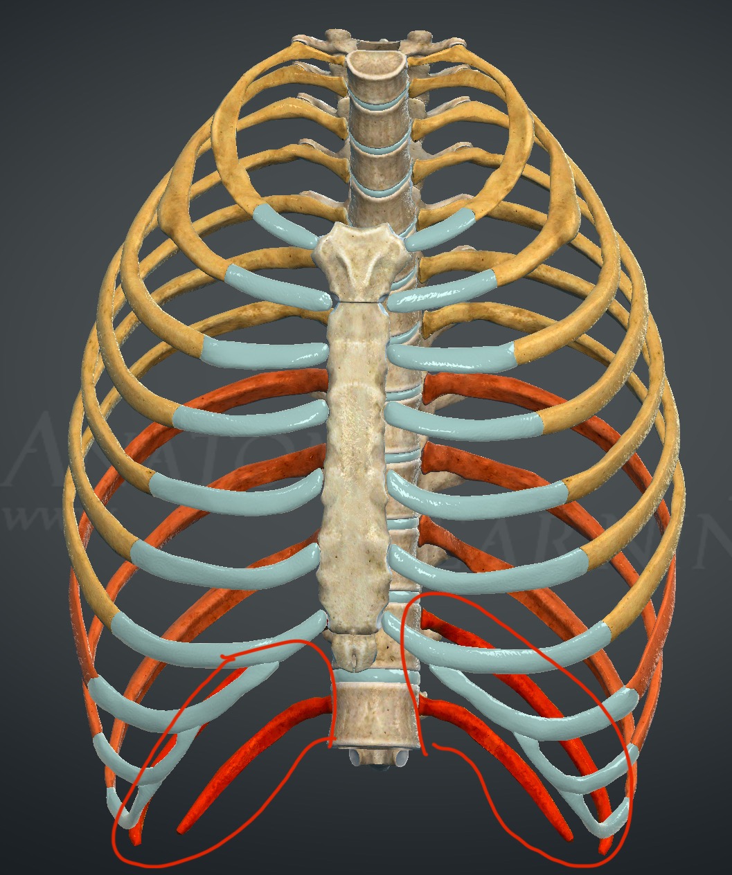 <p>What are these structures?</p>