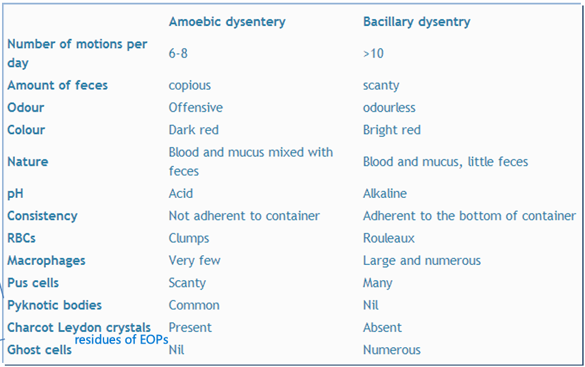 <p>In Amoebic: </p><ul><li><p>Less motions/day </p></li><li><p>Lots of feces vs few</p></li><li><p>Darker color</p></li><li><p>Blood + Mucus + feces (Little feces in bacillary)</p></li><li><p>Acid pH (Alkaline bacillary)</p></li><li><p>Stools do not adhere to container (Do in bacillary)</p></li><li><p>Clumped RBCs in amoebic </p></li><li><p><strong><u>Pyknotic bodies PRESENT</u></strong></p></li><li><p><strong><u>Charcot Leydon crystals PRESENT</u></strong> (Residues of EOPs)</p></li><li><p><strong><u>ABSENT Ghost cells</u></strong></p></li></ul><p></p>