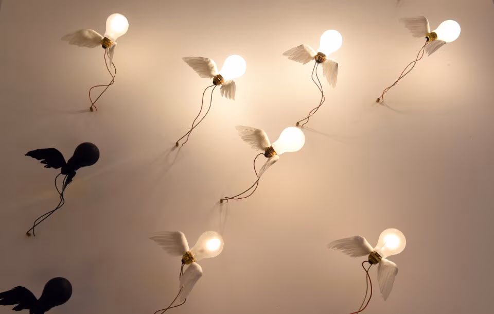 <p>Who’s art is this?</p>