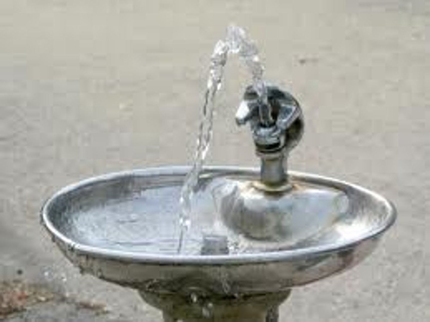 <p>tempat minum</p>