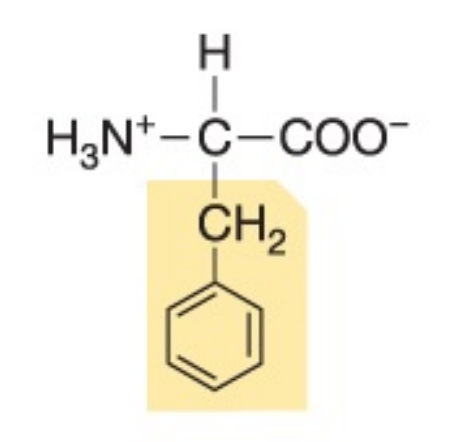 <p>Non-polar, hydrophobic</p>