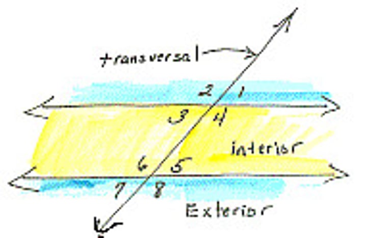 <p>a line that intersects two parallel lines</p>