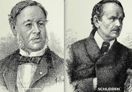 <p>Matthias Schleiden and Theodore Schwann</p>
