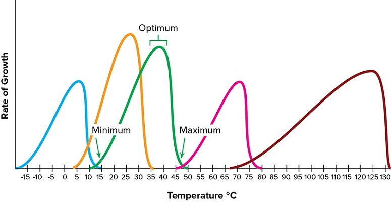 Label the image to test your understanding of temperature adaptations exhibited by various bacteria.