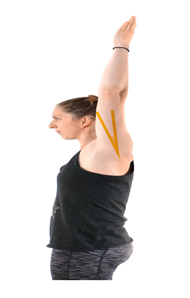 <p>what movement is this and why</p>