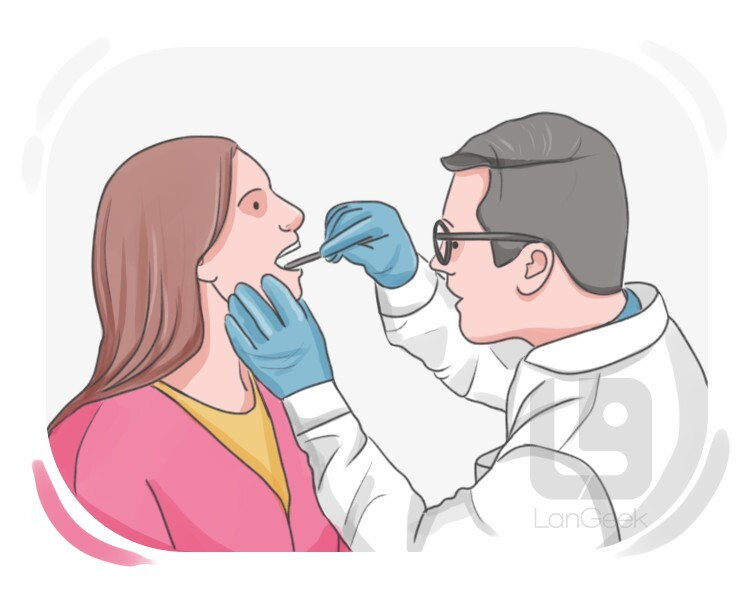 <p>To look at something closely. </p>