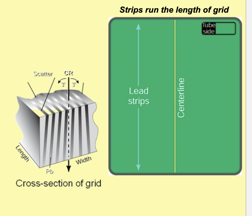 <p><strong>How are lead strips placed on a Grid</strong></p>