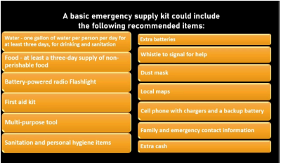 <p>Emergency Kit</p>