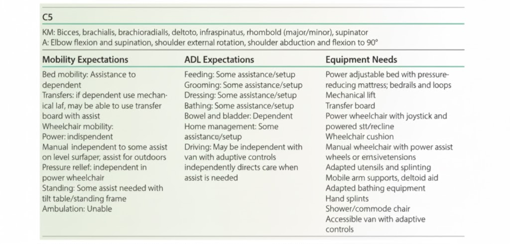 <ul><li><p>D</p></li></ul><p></p>