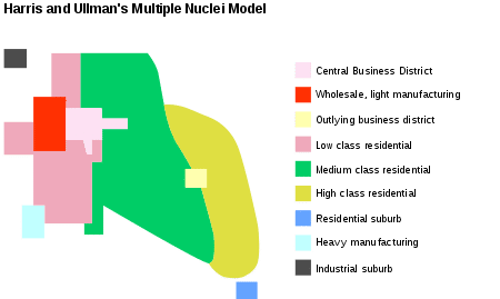 <p>Harris &amp; Ullman’s Multiple Nuclei Model</p>