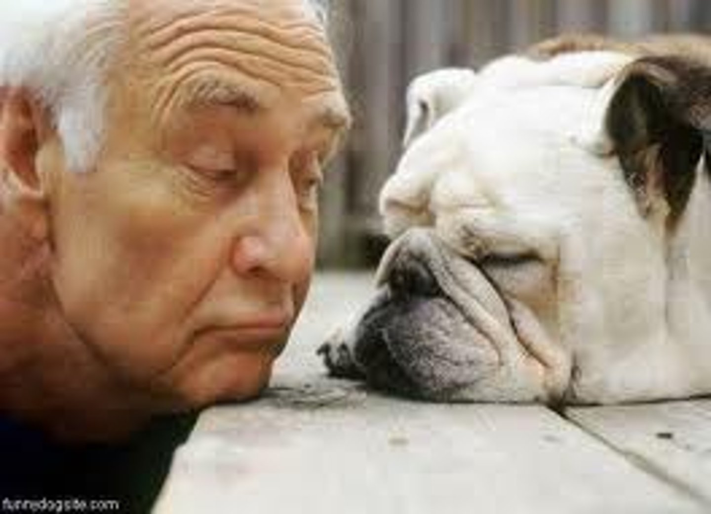 <p>(v.) To sympathize with, have pity or sorrow for, share a feeling of distress</p>