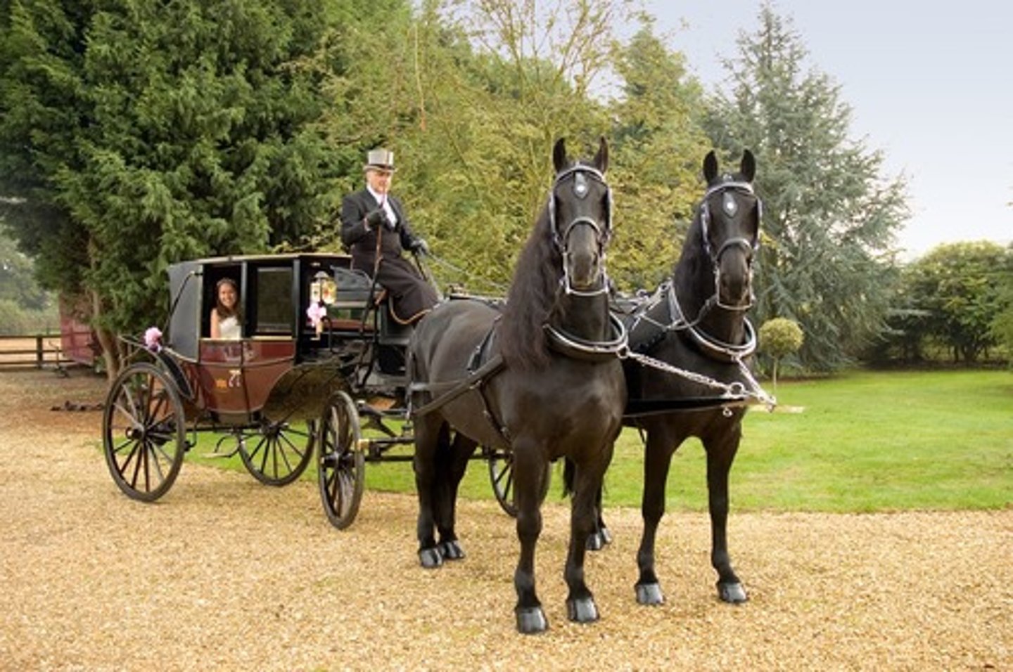 <p>a vehicle pulled by horses</p>