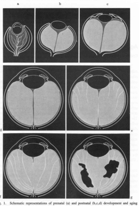 <p>what’s going on here?&nbsp;</p>