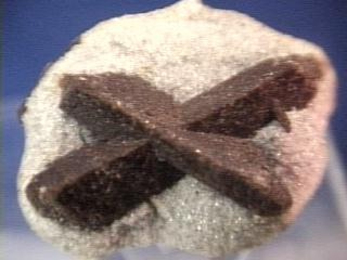 <p>Brown. Almost always forms short, prismatic crystals, can form cruciform twins.</p>