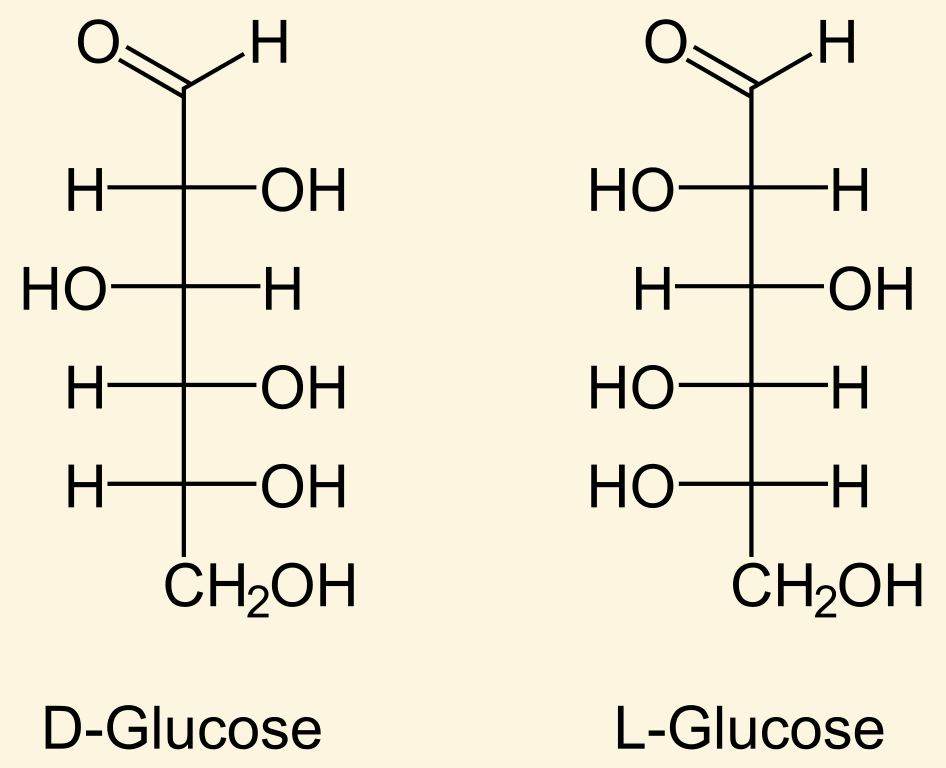 <p>relative configuration </p><ul><li><p>in a fischer projection, look at the highest numbered chiral carbon </p></li><li><p>if -OH is on the right then its a D-sugar. If -OH is on the left then it is an L-Sugar </p></li></ul><p></p>