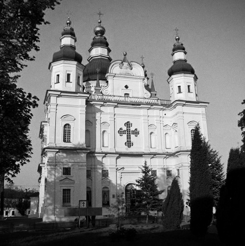 term image