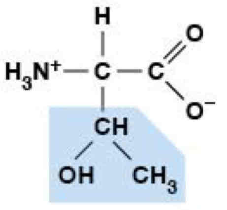 <p>Polar, Uncharged (Hydrophilic)</p>