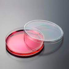 <p>is a shallow, transparent, <strong>cylinder-shaped lidded dish</strong>. is mainly used to a culture different types of cells including bacteria, fungi, molds, etc. It is mainly made up of glass or plastic and consists of a thin layer of agar that provides a nutritional medium in which the cells can grow.</p>