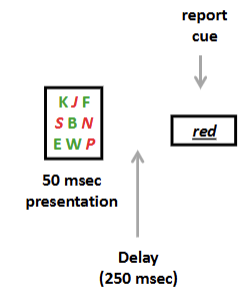 <p>no because different time courses. after image requires &gt;1 sec of exposure, visible persistence arises for very short presentations (&lt;200ms)</p><p>tested - if using afterimage then letters green and red become the opposite </p><ul><li><p>results: people recall correctly with a color cue and don’t invert the colors </p></li><li><p>quick flash =cont. neuron firing of stimulus </p></li><li><p>afterimage = store for long = brain adapts </p></li></ul><p></p>