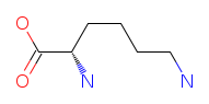 <ul><li><p>Long aliphatic side chain</p></li><li><p><strong>Positively charged (basic)</strong></p></li><li><p>Binds DNA; histones</p></li><li><p>Common on protein surfaces</p></li></ul><p></p>