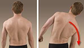 <p>moving body to side</p>